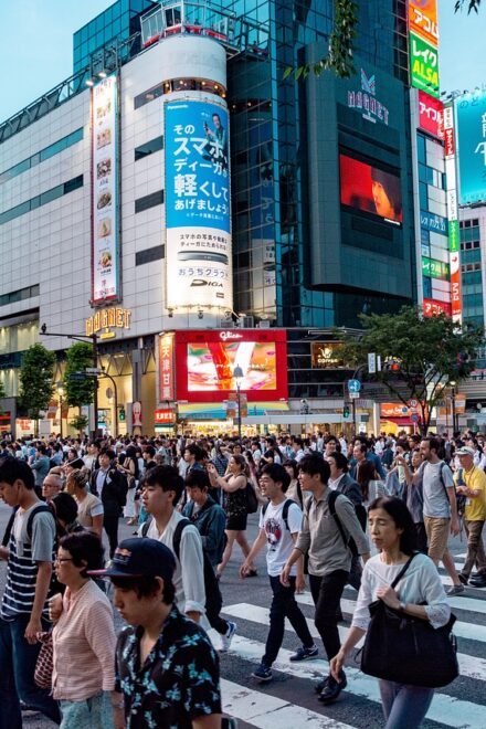 Dietro le quinte del Giappone: cosa sapere per un viaggio perfetto
